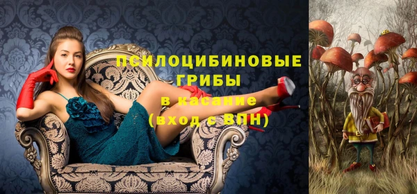 винт Коряжма