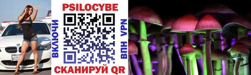 Псилоцибиновые грибы Magic Shrooms  Купить закладки  Дмитров 